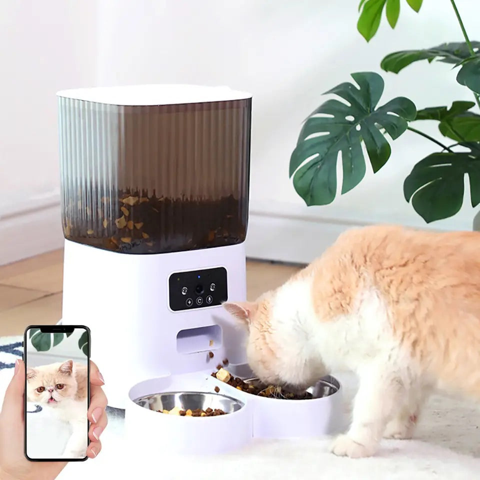 Smart automatisk kattmatare med kamera
